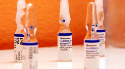 В Украину не смогут въехать иностранцы, вакцинированные Спутником V – Госпогранслужба - ru.slovoidilo.ua