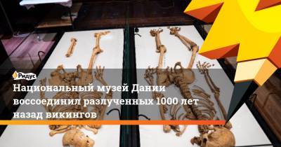 Национальный музей Дании воссоединил разлученных 1000 лет назад викингов - ridus.ru - Англия - Дания