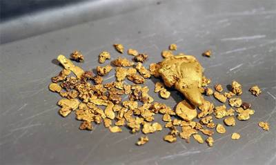 Мустафа Варанк - В Турции нашли крупное месторождение золота - capital.ua - Турция