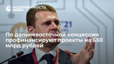 Алексей Чекунков - По дальневосточной концессии профинансируют проекты на 650 млрд рублей - realty.ria.ru - Владивосток - Дальний Восток - Строительство