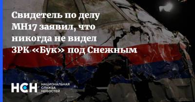 Владимир Цемах - Игорь Гиркин - Свидетель по делу MH17 заявил, что никогда не видел ЗРК «Бук» под Снежным - nsn.fm - Украина - ДНР - Донецкая обл.