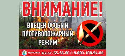 За сутки два пожара уничтожили 10 га леса в Карелии - stolicaonego.ru - район Беломорский - республика Карелия