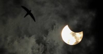 Впервые за полвека: Россияне увидели кольцеобразное затмение Солнца - ren.tv - респ. Саха - Чукотка - Гренландия - Canada - провинция Онтарио