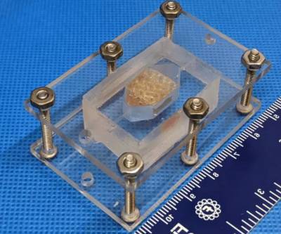 Американские учёные напечатали на 3D-принтере жизнеспособную искусственную печень - rusjev.net