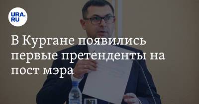Елена Ситникова - В Кургане появились первые претенденты на пост мэра - ura.news - Курган
