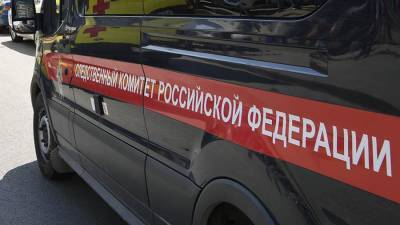 В Новосибирске возбудили дело после наезда электросамоката на ребенка - iz.ru - Новосибирск
