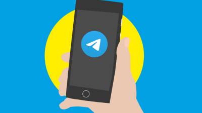 Павел Дуров - Telegram и Facebook выписали многомиллионные штрафы - vesti.ru - Москва