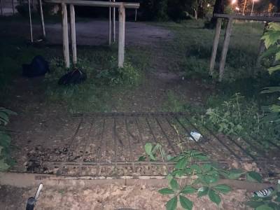 Рухнувший чугунный забор покалечил 9-летнего мальчика в Брянске - 7info.ru - Брянск