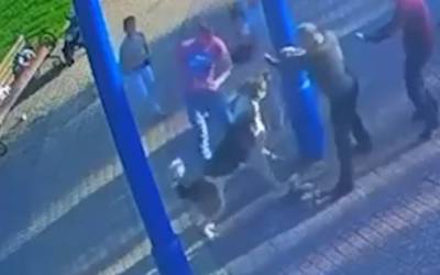 Чудовищная смерть: алабай загрыз маленького йорка, а после растерзал труп на глазах у детей — видео - ivbg.ru - Россия