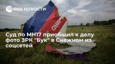 Суд по MH17 приобщил к делу фото ЗРК "Бук" в Снежном из соцсетей - ria.ru - Москва - Голландия - Гаага