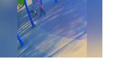 В Новом Девяткино алабай загрыз йорка на глазах у детей - piter.tv