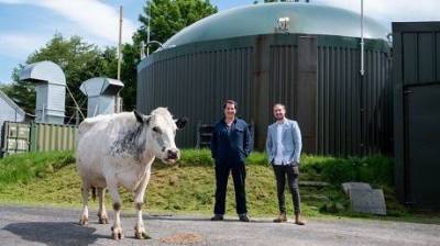 Коровий навоз и майнинг криптовалюты: в Британии фермер удивил оригинально идеей - enovosty.com - Англия