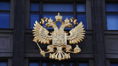 Комитет Госдумы поддержал поправки о повышении штрафов за публикации советов о переделке оружия - russian.rt.com