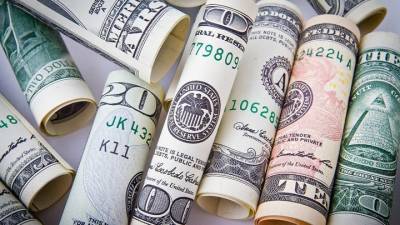 Половину пандемийных пособий в США получили мошенники - vesti.ru