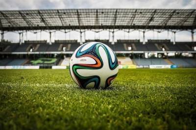 Александр Бугаев - В России создадут школьную футбольную лигу - pnp.ru