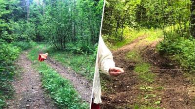 В Подмосковье человеку на квадроцикле разорвало челюсть растянутой проволокой - gazeta.ru - Московская обл.