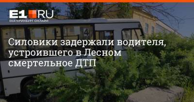 Валерий Горелых - Силовики задержали водителя, устроившего в Лесном смертельное ДТП - e1.ru - Екатеринбург