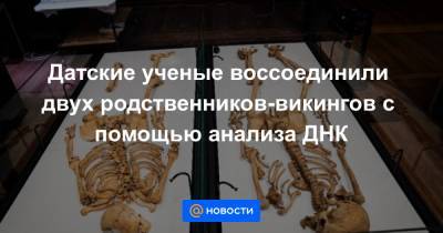 Датские ученые воссоединили двух родственников-викингов с помощью анализа ДНК - news.mail.ru - Англия - Дания