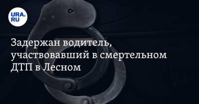 Валерий Горелых - Задержан водитель, участвовавший в смертельном ДТП в Лесном - ura.news - Лесной