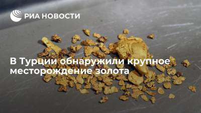 Мустафа Варанк - В Турции обнаружили крупное месторождение золота - ria.ru - Турция