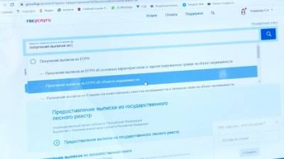 Пензенцы могут оформить выписку из ЕГРН на портале госуслуг - penzainform.ru - Пензенская обл.