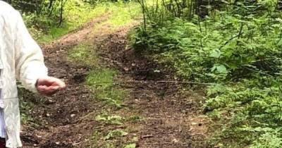 Под Москвой квадроциклист остался без пяти зубов из-за лески в лесу - moslenta.ru - Москва - Московская обл.