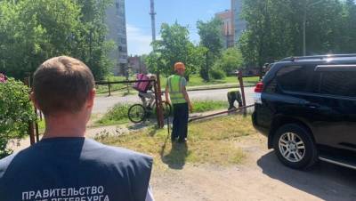 Пять районов Петербурга очистили от незаконных автостоянок - neva.today - Санкт-Петербург