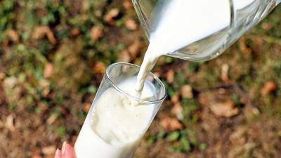 Ольга Соколова - Микробиолог перечислила вредные в жару молочные продукты - iz.ru