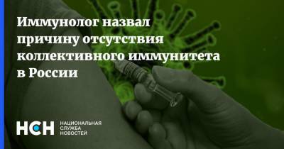 Владимир Болибок - Иммунолог назвал причину отсутствия коллективного иммунитета в России - nsn.fm - Сан Марино