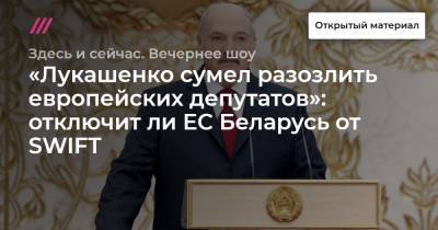 Роман Протасевич - Лев Львовский - «Лукашенко сумел разозлить европейских депутатов»: отключит ли ЕС Беларусь от SWIFT - tvrain.ru - county Swift