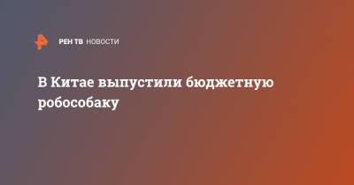 В Китае выпустили бюджетную робособаку - ren.tv - Китай - Boston