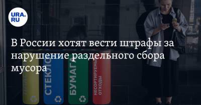Виктория Абрамченко - В России хотят вести штрафы за нарушение раздельного сбора мусора - ura.news