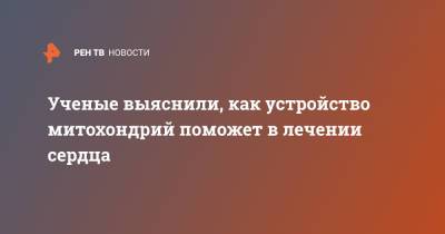 Ученые выяснили, как устройство митохондрий поможет в лечении сердца - ren.tv - Россия