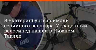 В Екатеринбурге поймали серийного веловора. Украденный велосипед нашли в Нижнем Тагиле - e1.ru - Екатеринбург