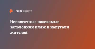 Неизвестные насекомые заполонили пляж и напугали жителей - ren.tv - USA - Шотландия - штат Мэн