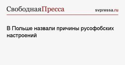 В Польше назвали причины русофобских настроений - svpressa.ru - Варшава