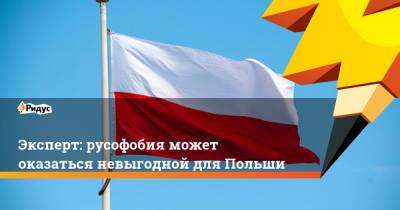Эксперт: русофобия может оказаться невыгодной для Польши - ridus.ru - Москва - Варшава