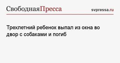 Трехлетний ребенок выпал из окна во двор с собаками и погиб - svpressa.ru - шт.Нью-Джерси - Рязань