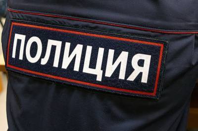 Ирина Волк - В Москве полицейский спас 70-летнего пенсионера, потерявшего сознание - aif.ru - Москва