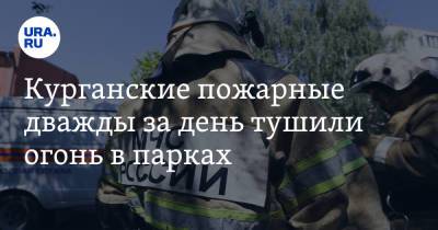 Курганские пожарные дважды за день тушили огонь в парках. Фото - ura.news