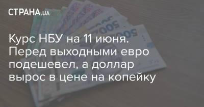 Курс НБУ на 11 июня. Перед выходными евро подешевел, а доллар вырос в цене на копейку - strana.ua