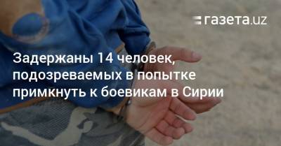 Задержаны 14 человек, подозреваемых в попытке примкнуть к боевикам в Сирии - gazeta.uz - Сирия - Узбекистан - Самаркандская обл.