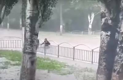 Стихия наделала бед на Одесчине, затопив дома: спасатели показали последствия непогоды - politeka.net - Одесская обл.
