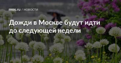 Дожди в Москве будут идти до следующей недели - mos.ru - Москва