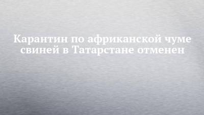Рустам Минниханов - Карантин по африканской чуме свиней в Татарстане отменен - chelny-izvest.ru - респ. Татарстан - район Елабужский - район Нижнекамский