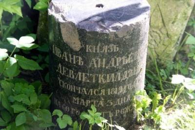 Потомок князя из Омска ищет человека, который сфотографирует могилу предка в Тверской области - tver.mk.ru - Тверская обл. - Омск - Пензенская обл.