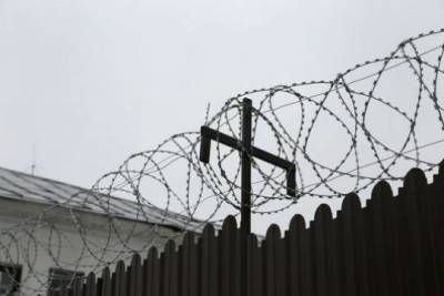 Александр Калашников - Раскрыты массовые нарушения содержания женщин и детей в российских СИЗО - versia.ru