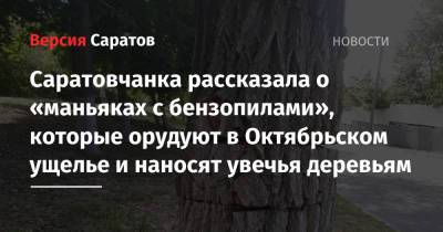 Саратовчанка рассказала о «маньяках с бензопилами», которые орудуют в Октябрьском ущелье и наносят увечья деревьям - nversia.ru - Саратов