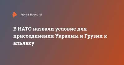 В НАТО назвали условие для присоединения Украины и Грузии к альянсу - ren.tv - Москва - Украина - Киев - Грузия - Тбилиси