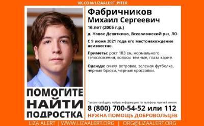 В Новом Девяткино ищут 16-летнего лицеиста-математика, пропавшего 9 июня - ivbg.ru - Ленинградская обл.